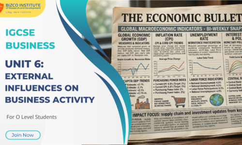 O Level Business: Unit 6. External Influences on Business Activity
