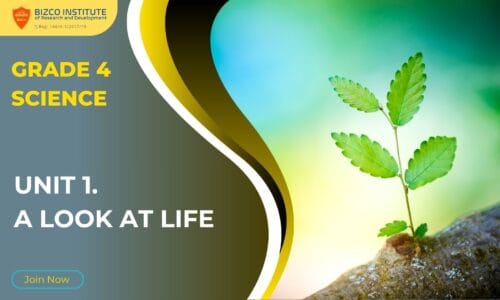 Grade 4 Science: Unit 1. A Look At Life